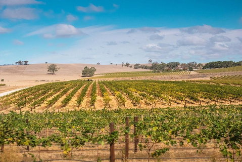 Barossa Valley Private Tour (from 2 To 11 People) - Attractions Melbourne 2