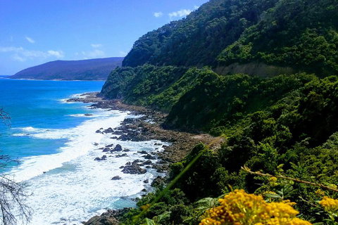 Great Ocean Road Adventure - Private Tour - Reverse - Attractions Melbourne 3