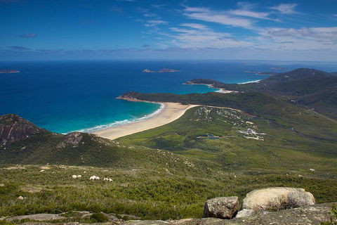 Wilson's Promontory & Phillip Island - 'Prom & Penguins' Tour - Attractions Melbourne 0