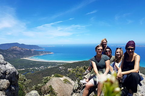 Wilson's Promontory & Phillip Island - 'Prom & Penguins' Tour - Attractions Melbourne 1