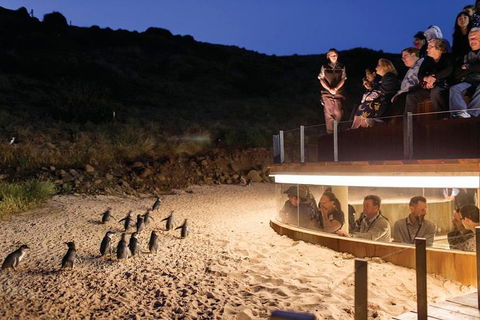 Wilson's Promontory & Phillip Island - 'Prom & Penguins' Tour - Attractions Melbourne 3