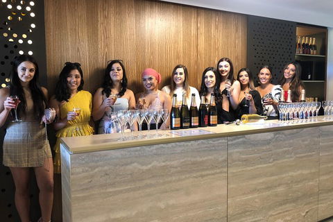Yarra Valley Public Winery Tours - Attractions Melbourne 0