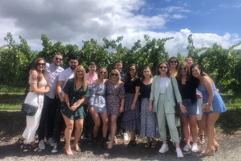Yarra Valley Public Winery Tours - Attractions Melbourne 3