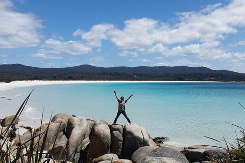 Tasmania 4 Day East Coast + Launceston - Attractions Melbourne 1