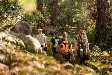 Cabaret Cave Yoga & Mindful Hike - Attractions Melbourne 2