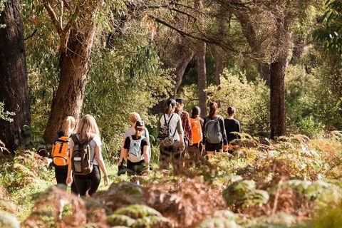 Half-Day Yanchep Ghost House Wilderness Guided Hike Tour - Attractions Melbourne 0