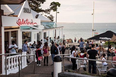 Phillip Island And French Island Wildlife Expedition - Attractions Melbourne 0