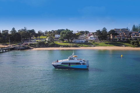 Phillip Island And French Island Wildlife Expedition - Attractions Melbourne 2
