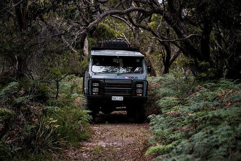 Phillip Island And French Island Wildlife Expedition - Attractions Melbourne 4