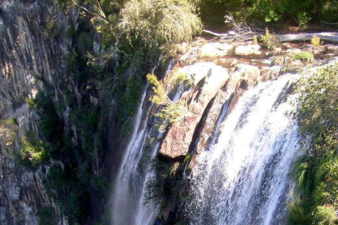 Byron Bay Combo: Hinterland Tour Including Minyon Falls And Kayaking With Dolphins - Attractions Melbourne 3