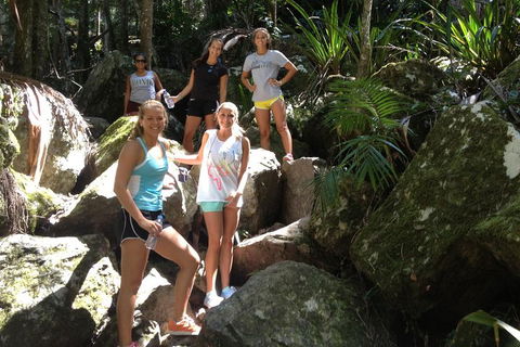 Byron Bay Combo: Hinterland Tour Including Minyon Falls And Kayaking With Dolphins - Attractions Melbourne 4
