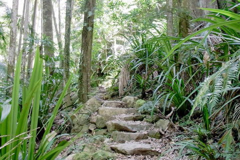 Byron Bay Combo: Hinterland Tour Including Minyon Falls And Kayaking With Dolphins - Attractions Melbourne 5