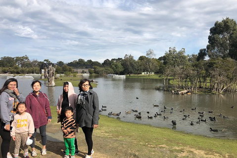 Phillip Island Penguins Private Tour - Attractions Melbourne 1