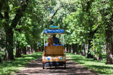 Adelaide 90-Minute Pedicab Tour: Scenic Green & River Experience - Attractions Melbourne 2