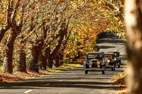 Blue Mountains Vintage Cadillac Tour With Local Guide - Attractions Melbourne 1
