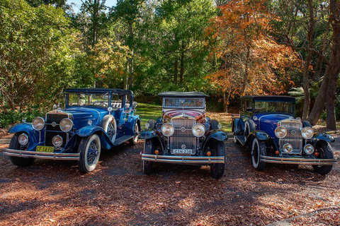 Blue Mountains Vintage Cadillac Tour With Local Guide - Attractions Melbourne 4