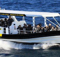 Mooloolaba Whale Watching Tour - Attractions Melbourne