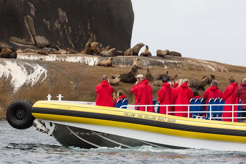 Wilsons Promontory Wilderness Cruise From Tidal River - Attractions Melbourne 1