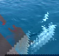 Noosa Thriller - 500hp Ocean Adventure Ride - Attractions Melbourne