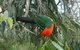 3-Day Great Ocean Road And Grampians Tour From Melbourne - thumb 5