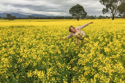 Grampians - Private Tour - Attractions Melbourne 3