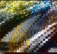 Personalised wine tour experience in the beautiful NSW Southern Highlands