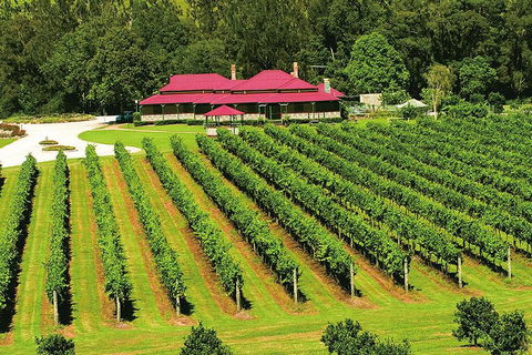 O'Reilly's & Lamington National Park From Brisbane - Attractions Melbourne 2