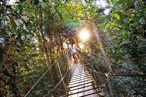 O'Reilly's & Lamington National Park From Brisbane - Attractions Melbourne 5
