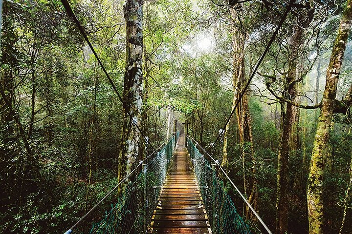 Isle Of Capri QLD Attractions Melbourne