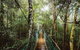 O'Reilly's & Lamington National Park From Gold Coast - thumb 0