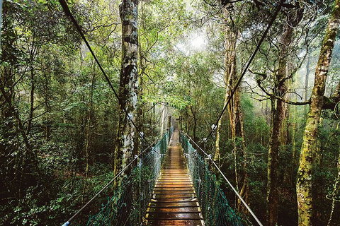O'Reilly's & Lamington National Park From Gold Coast - Attractions Melbourne 0