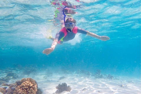 Lagoon Explorer - Ningaloo Reef Full-Day Kayaking And Snorkeling Adventure - Attractions Melbourne 5