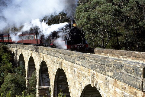 [Private Tour] Healesville Sanctuary Wildlife & Puffing Billy Steam Train - Attractions Melbourne 2