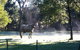 [Private Tour] Healesville Sanctuary Wildlife & Puffing Billy Steam Train - thumb 4