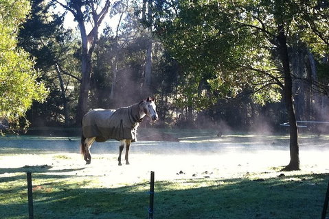 [Private Tour] Healesville Sanctuary Wildlife & Puffing Billy Steam Train - Attractions Melbourne 4