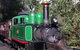 [Private Tour] Healesville Sanctuary Wildlife & Puffing Billy Steam Train - thumb 5