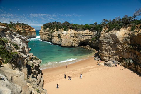 LGBT+ Friendly 12-Hour Great Ocean Road Private Tour - Attractions Melbourne 5