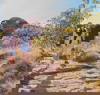 Kings Canyon Day Trip from Ayers Rock Uluru - Attractions Melbourne