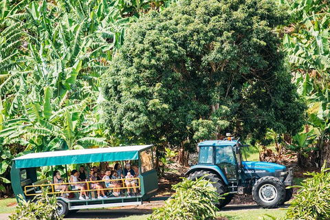 Northern Rivers Full Day Wine Tour - Attractions Melbourne 1