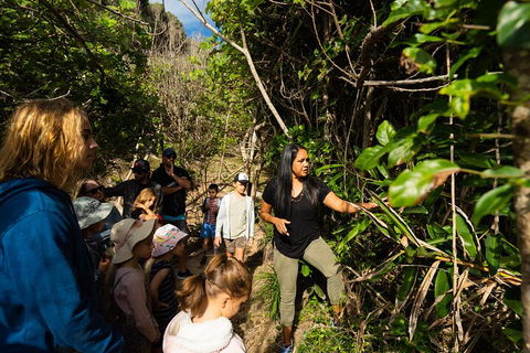 Cape Byron Aboriginal Tour - Attractions Melbourne 4