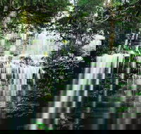 Mt Field National Park and Russell Falls from Hobart - Attractions Melbourne