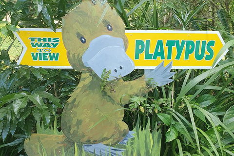 Full Day Atherton Tablelands Tour From Cairns - Attractions Melbourne 5