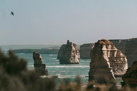 Half-Day Or Full-Day Tour With Private Guide From Melbourne - Attractions Melbourne 0