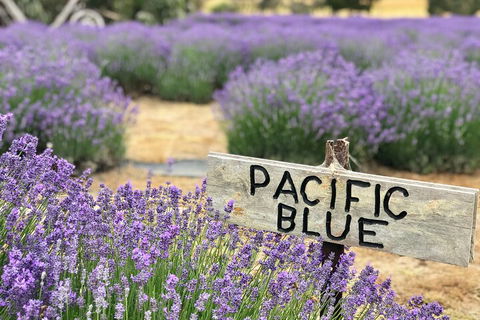 Kangaroo Island Half Day Food And Wine Trail Tour - Attractions Melbourne 5