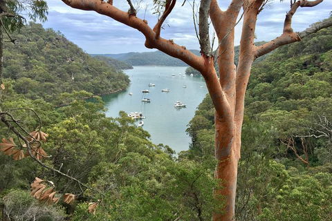 Shore Excursion: Sydney's Northern Beaches & Ku-ring-gai National Park Bus Tour - Attractions Melbourne 1