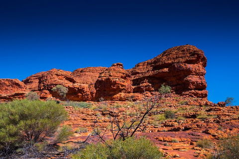 7-Day Guided Tour Of Alice Springs With Accommodation Included - Attractions Melbourne 4