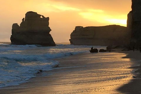 Great Ocean Road Small-Group Ecotour From Melbourne - Attractions Melbourne 5