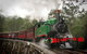 Puffing Billy, Wildlife Sanctuary & Penguins Day Tour From Melbourne - thumb 5