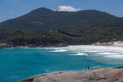 Wilson's Promontory Small Group Eco Tour from Melbourne