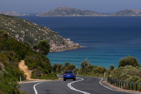 Wilson's Promontory Small Group Eco Tour From Melbourne - Attractions Melbourne 5